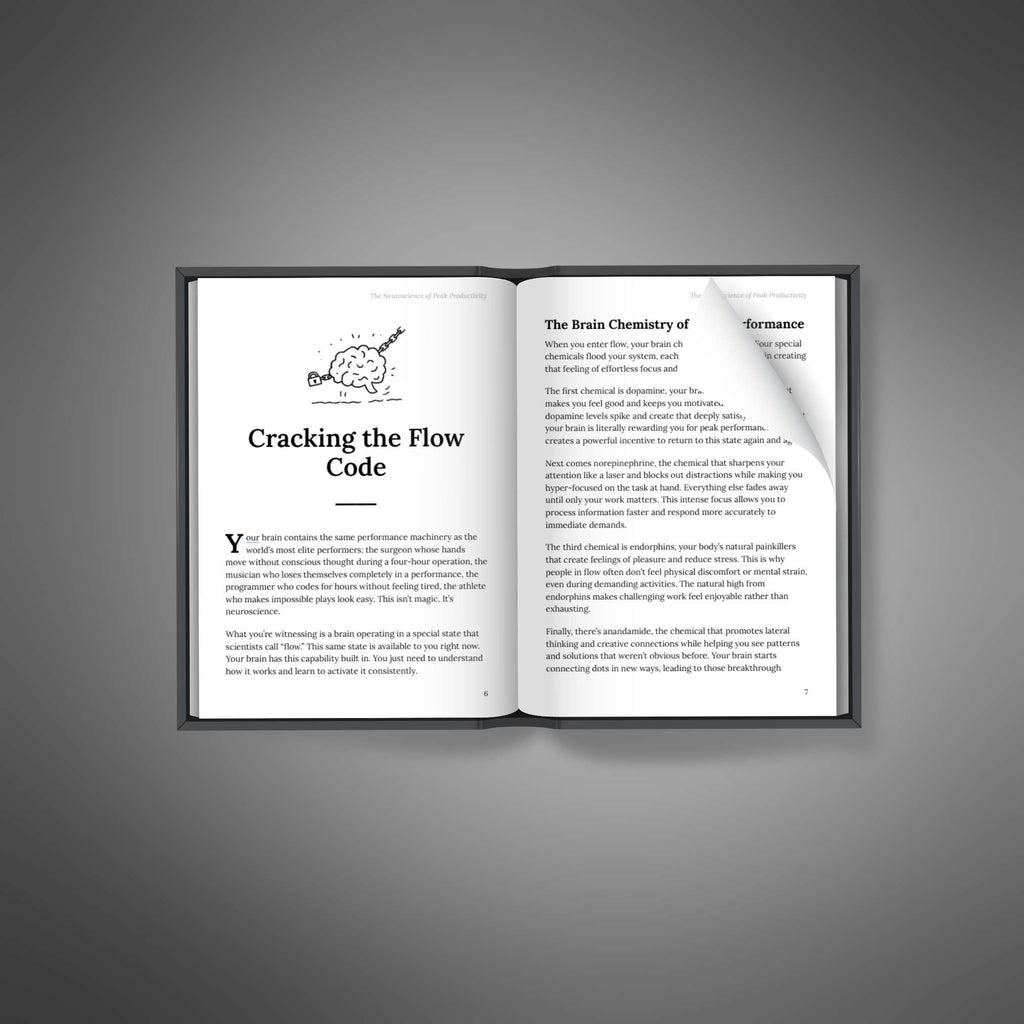 The Neuroscience of Peak Productivity - Ebook