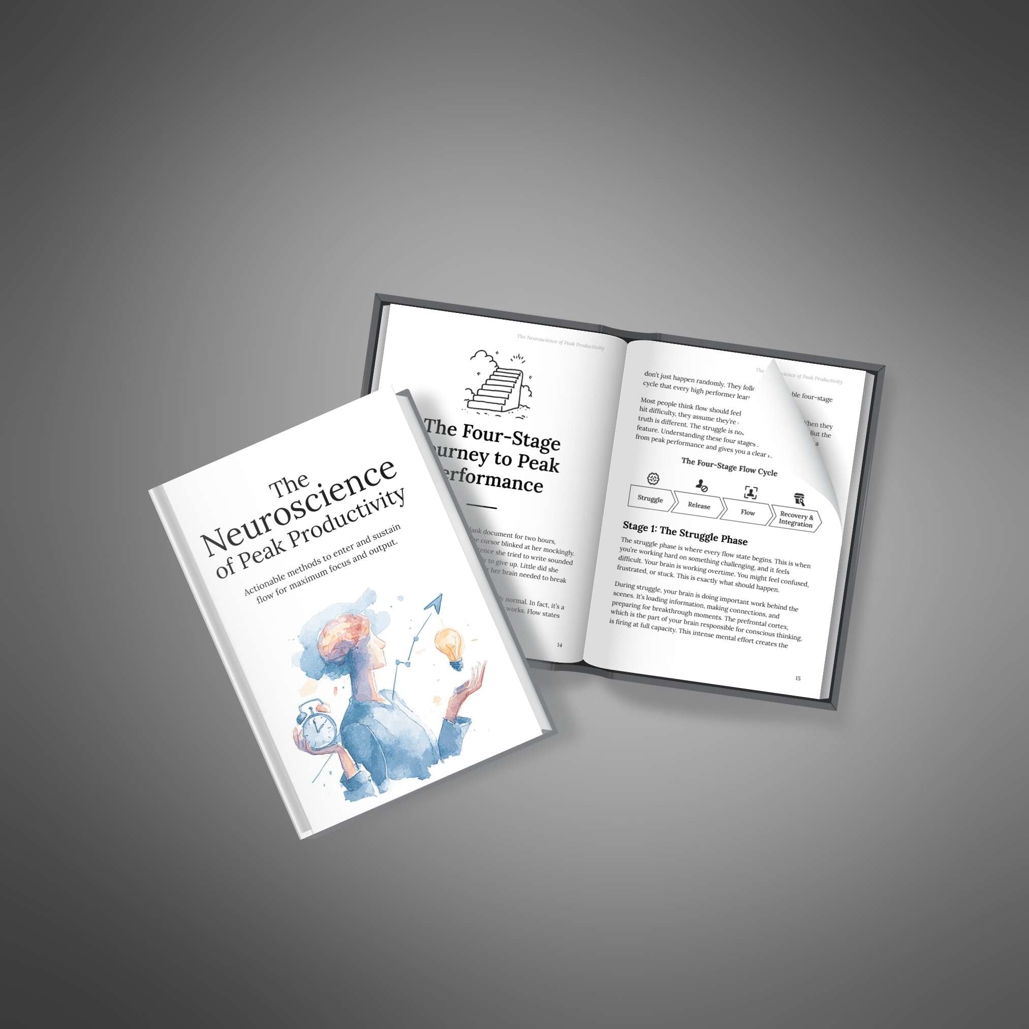 The Neuroscience of Peak Productivity - Ebook