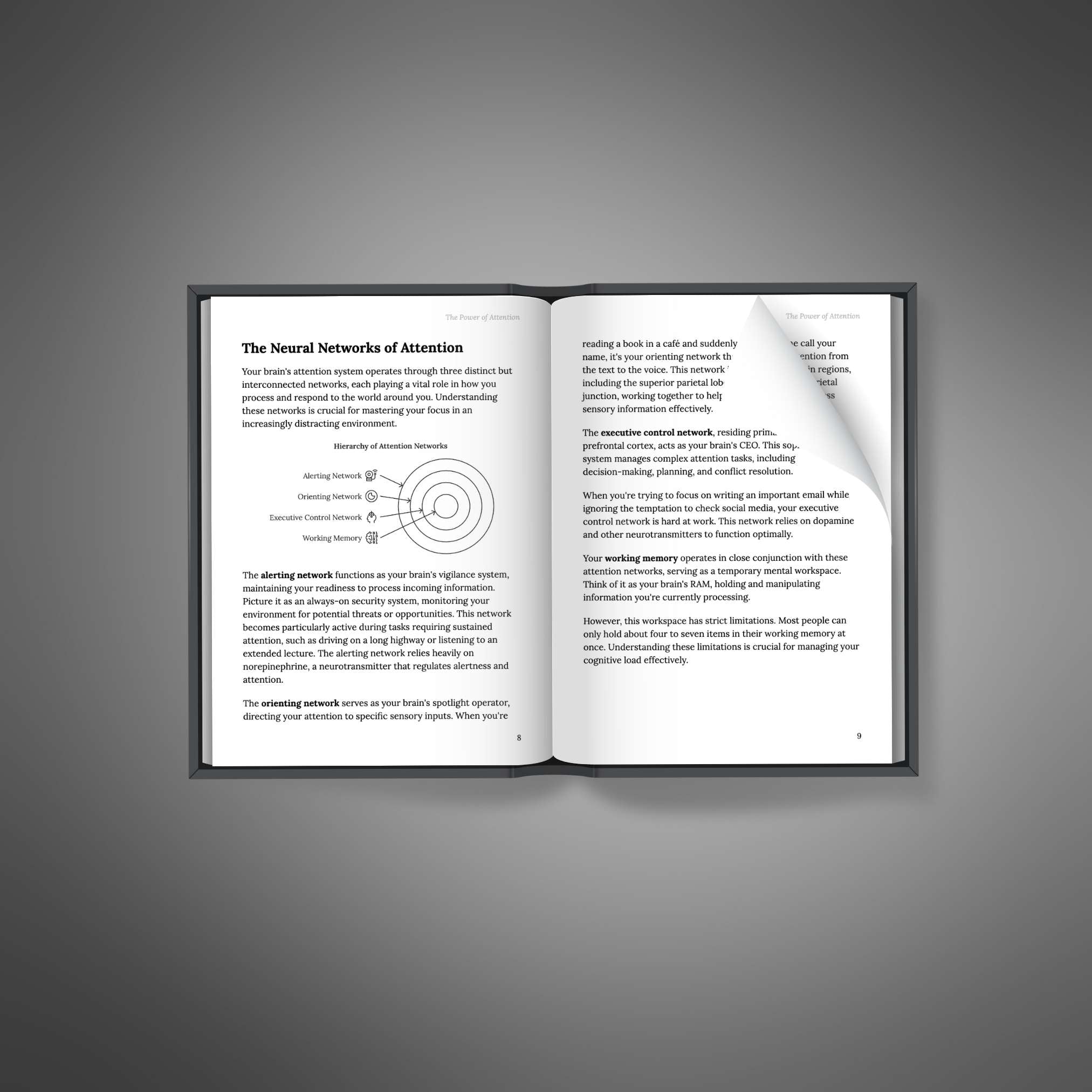 The Power of Attention - Ebook