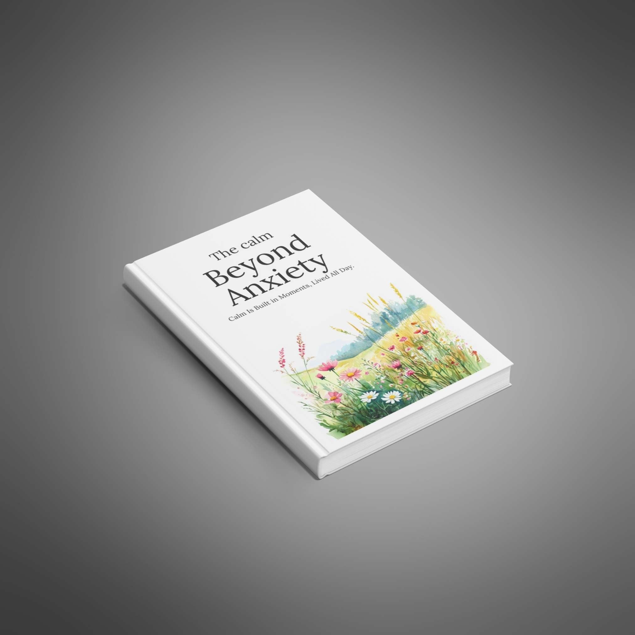 The Calm Beyond Anxiety - Ebook