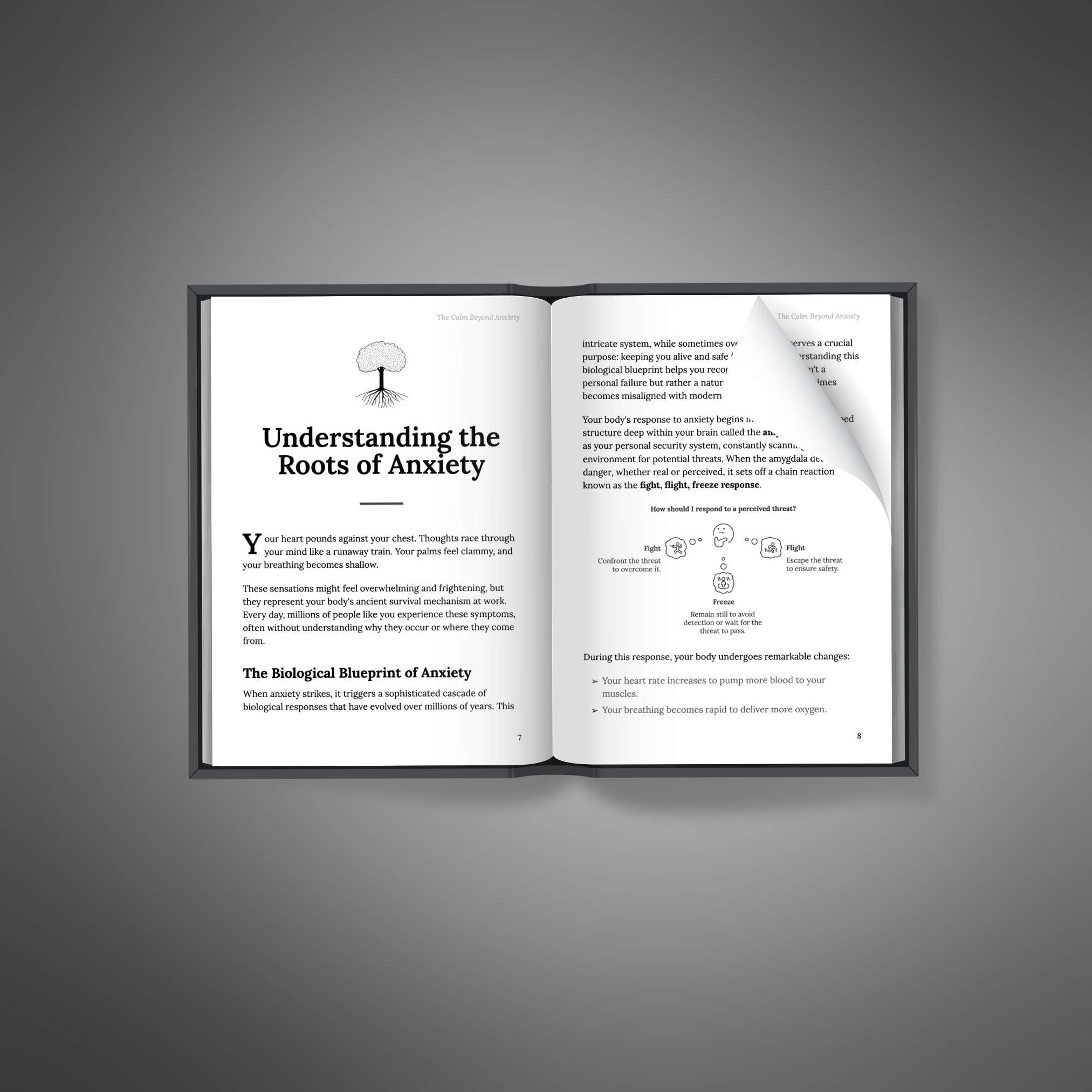 The Calm Beyond Anxiety - Ebook